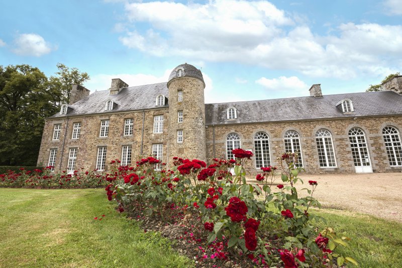 Levez les yeux ! Visite ludique au château