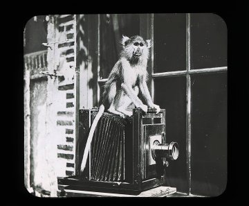 Archives départementales de Loire-Atlantique | 200 photos pour 200 ans d’histoire