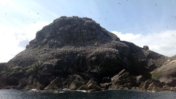 Balade sur la Côte de Granit Rose