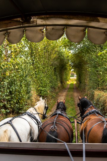 Circuit : balade patrimoniale en attelage