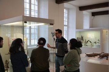 Médiations flash: Les espèces en danger du muséum