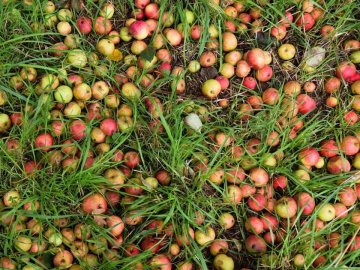 La cuvée Laïta : Rencontre et dégustation avec Les Bouteilles à l’Amère
