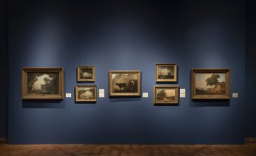 Visite "coup de projecteur" au Musée des Beaux-Arts à partir d'une œuvre de Jan van Huysum