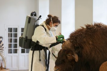 Rencontre avec la conservatrice du musée