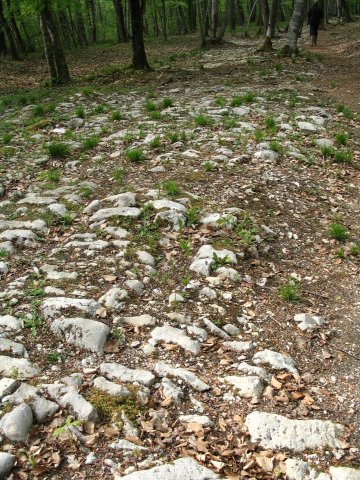 Photos gallo-romaines "pierres et natures"