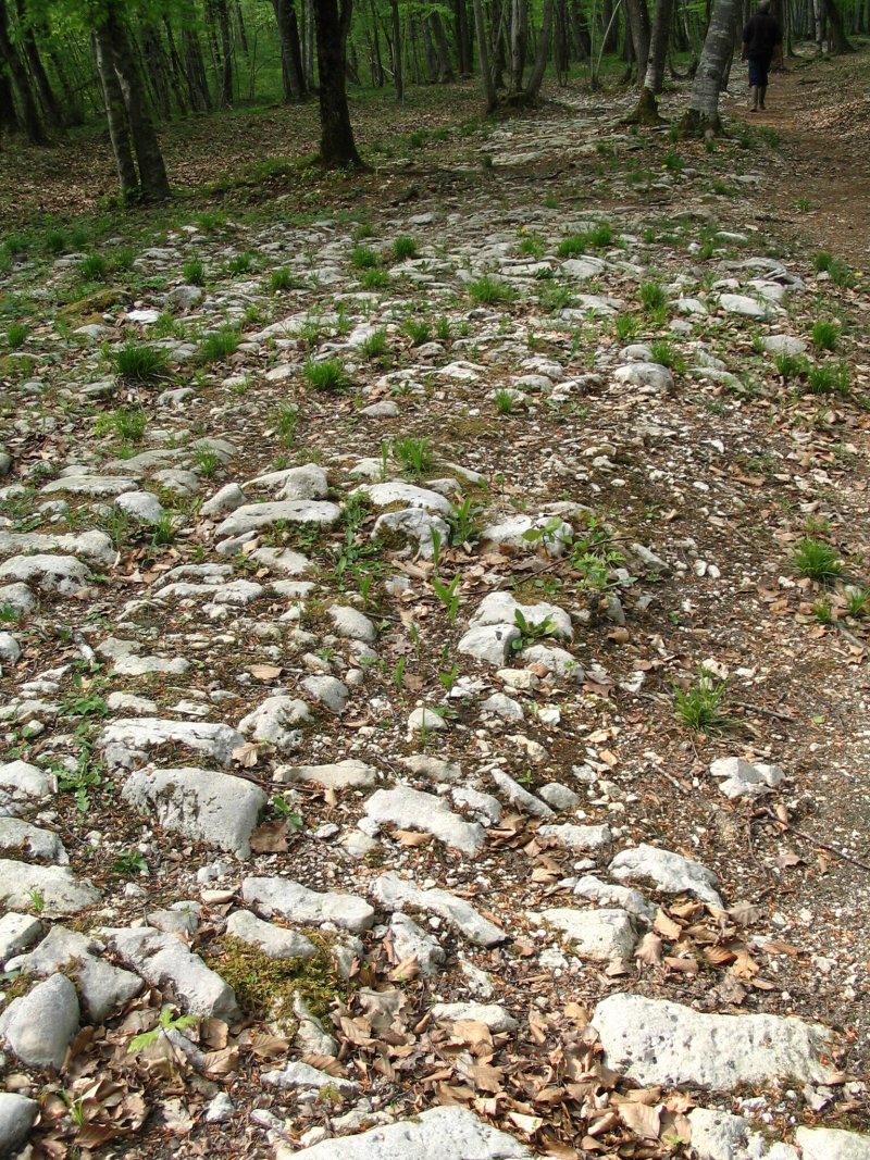 Photos gallo-romaines "pierres et natures"