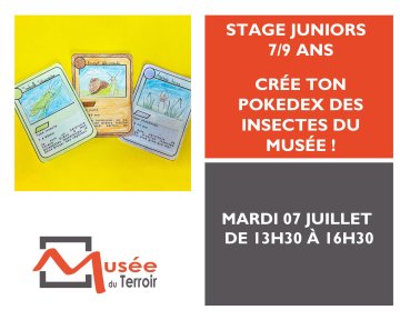 [COMPLET] Stage Junior 7/9 ans : crée ton Pokedex des insectes du musée !