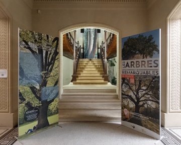 Exposition : A.R.B.R.E.S.