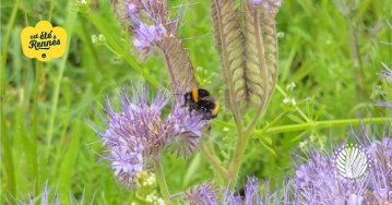 Découvrir et accueillir la biodiversité au jardin