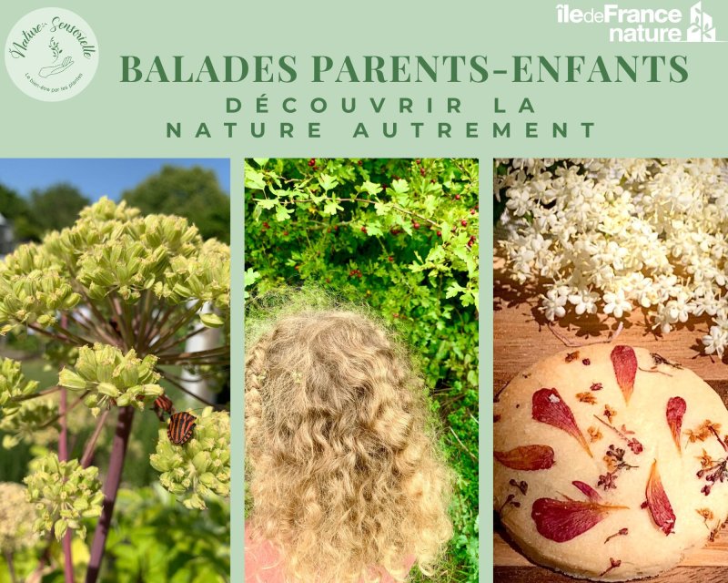 Balade Parents-Enfants : "Découvrir la Nature autrement"