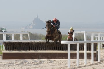 Visite guidée du complexe équin de la baie du Mont-Saint-Michel