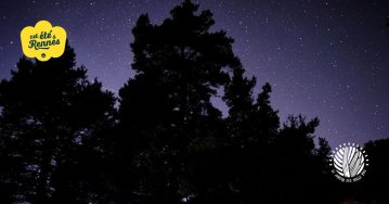 Balade nocturne enchantée