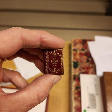 Singularité dans les collections anciennes