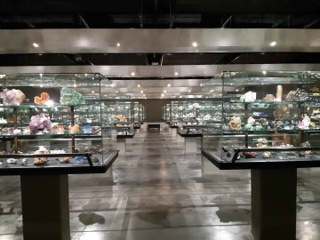 Visite du musée des minéraux de Sorbonne Université