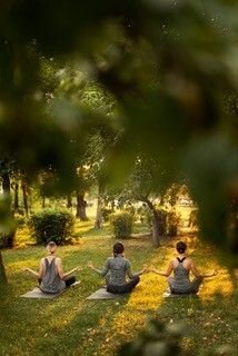 Journée bien être : atelier yoga et équicoaching