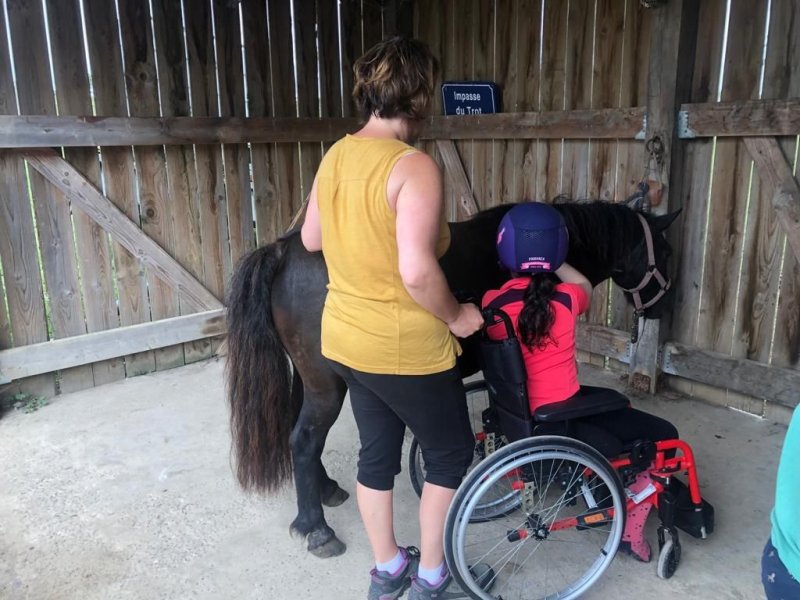 Portes ouvertes chez la Bulle Equine