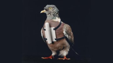 Exposition "We will survive - Le mouvement prepper"