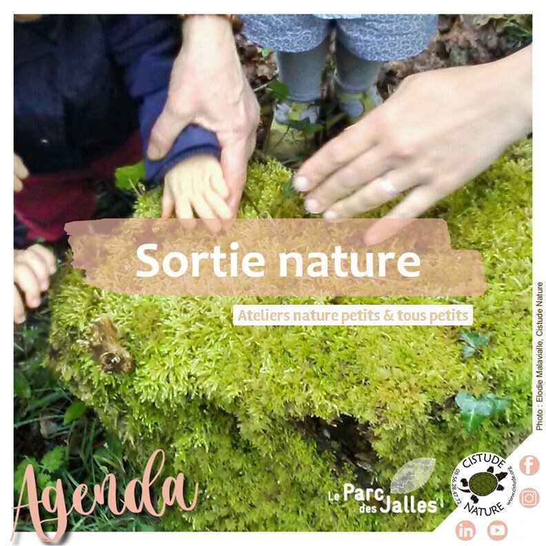 "Forêt des petits et tout-petits"