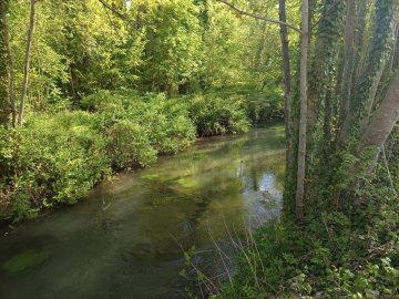 Découvrez le parc de la Rochefoucauld, Espace Naturel Sensible