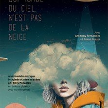 Tout ce qui Tombe du Ciel N'est pas de la Neige - Comédie des 3 Bornes, Paris