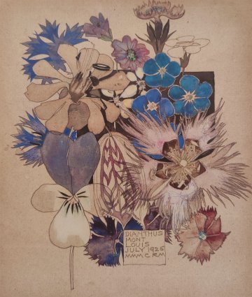 Visite libre du centre Mackintosh