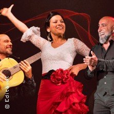 El Aire - Flamenco