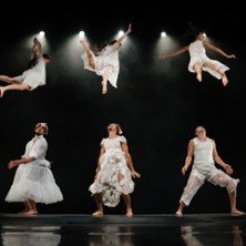 Orphées