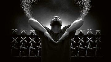 Murmuration level 2