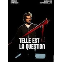Telle est la question
