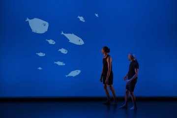 Le poisson qui vivait dans les arbres - Sylvain Riéjou, Hervé Walbecq, Association Cliché