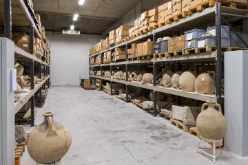 Visites « FOCUS » : Les réserves du musée