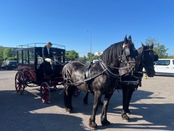 Promenade de deux voitures hippomobiles du 19eme siècle dans les rues de Lyon