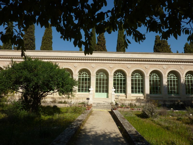 À la découverte du jardin des plantes de Montpellier
