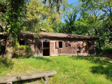 Visite commentée de la cabane pêcherie de la Nasse