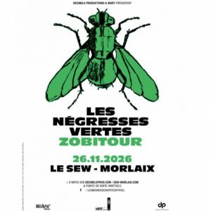 LES NEGRESSES VERTES