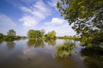 Marais & Réserve : visite du marais maraîcher et de la réserve naturelle des étangs du Romelaere.