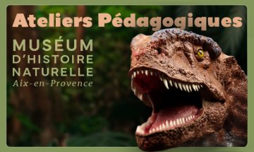 Programme des ateliers pédagogiquesdu Muséum d’Histoire Naturelle d'Aix-en-Provence - été 2026