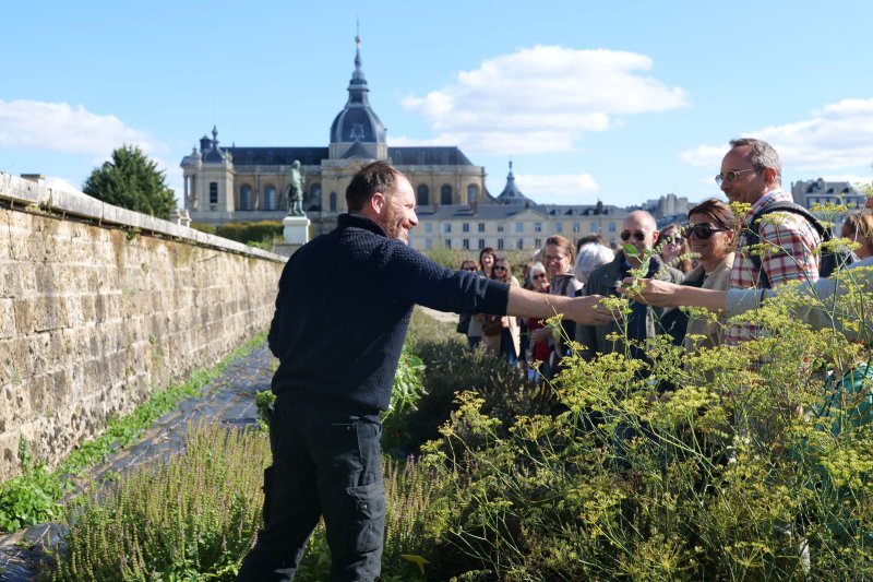 Visites guidées du Potager du Roi