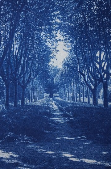 Atelier cyanotype