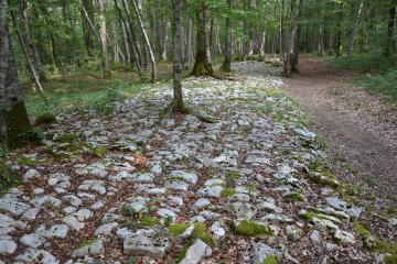Photos gallo-romaines : pierres et nature