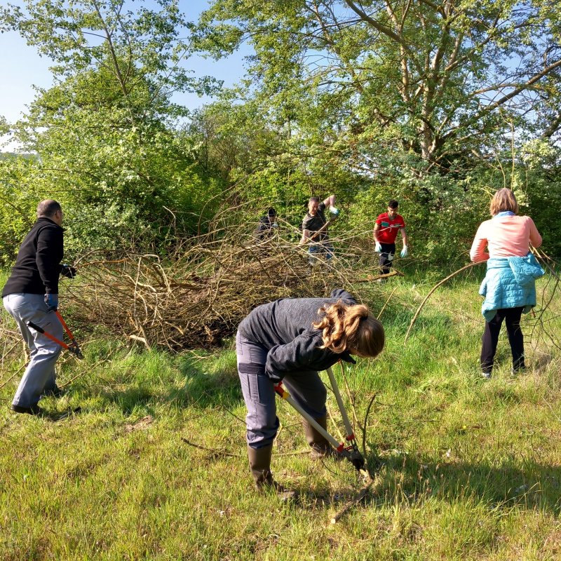 Chantier nature