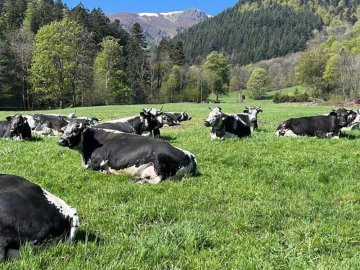 Dîner Insolite à la ferme by La Palette