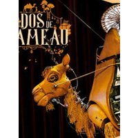A dos de chameau