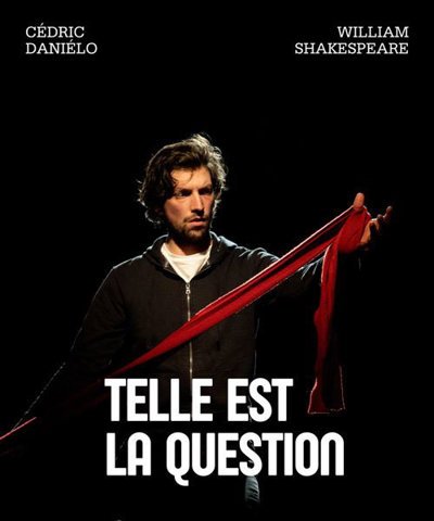 Telle est la question
