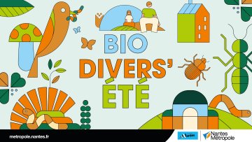 Le Laboraterre : laboratoire vivant de curiosités