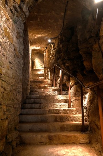 Découverte guidée d'une forteresse médiévale