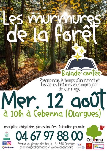 BALADE CONTÉE : LES MURMURES DE LA FORÊT