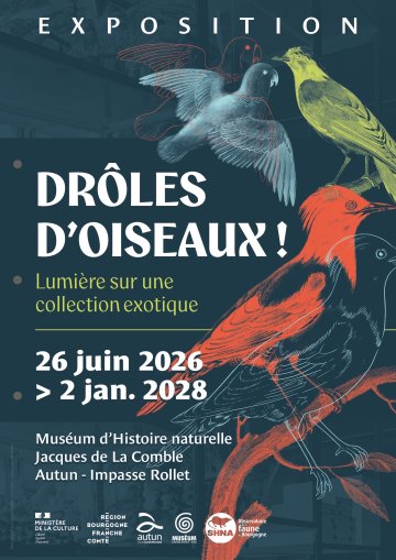 Drôles d'oiseaux : lumière sur une collection exotique (visite guidée de l'exposition temporaire)