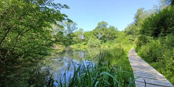 Visites guidés des Tourbières