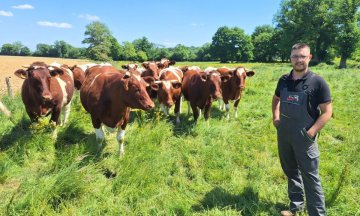 Installation-Transmission en viande bovine : les clés de réussite du projet et de son financement (53)